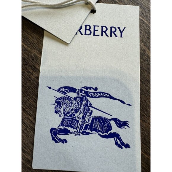 $1450 NWT BURBERRY PRORSUM Blue Luxurious Reversible Pure Cashmere Large Shawl - Picture 5 of 16